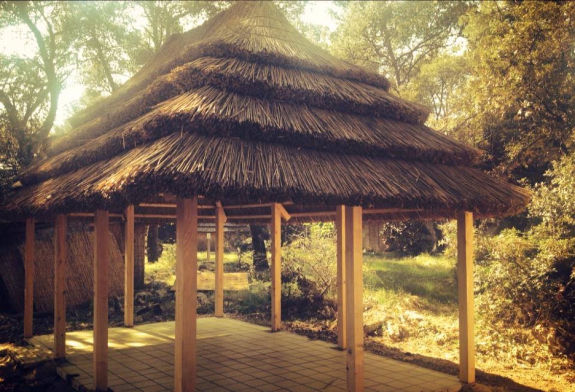 Bungalovi Pine Beacha - zgodba brez konca